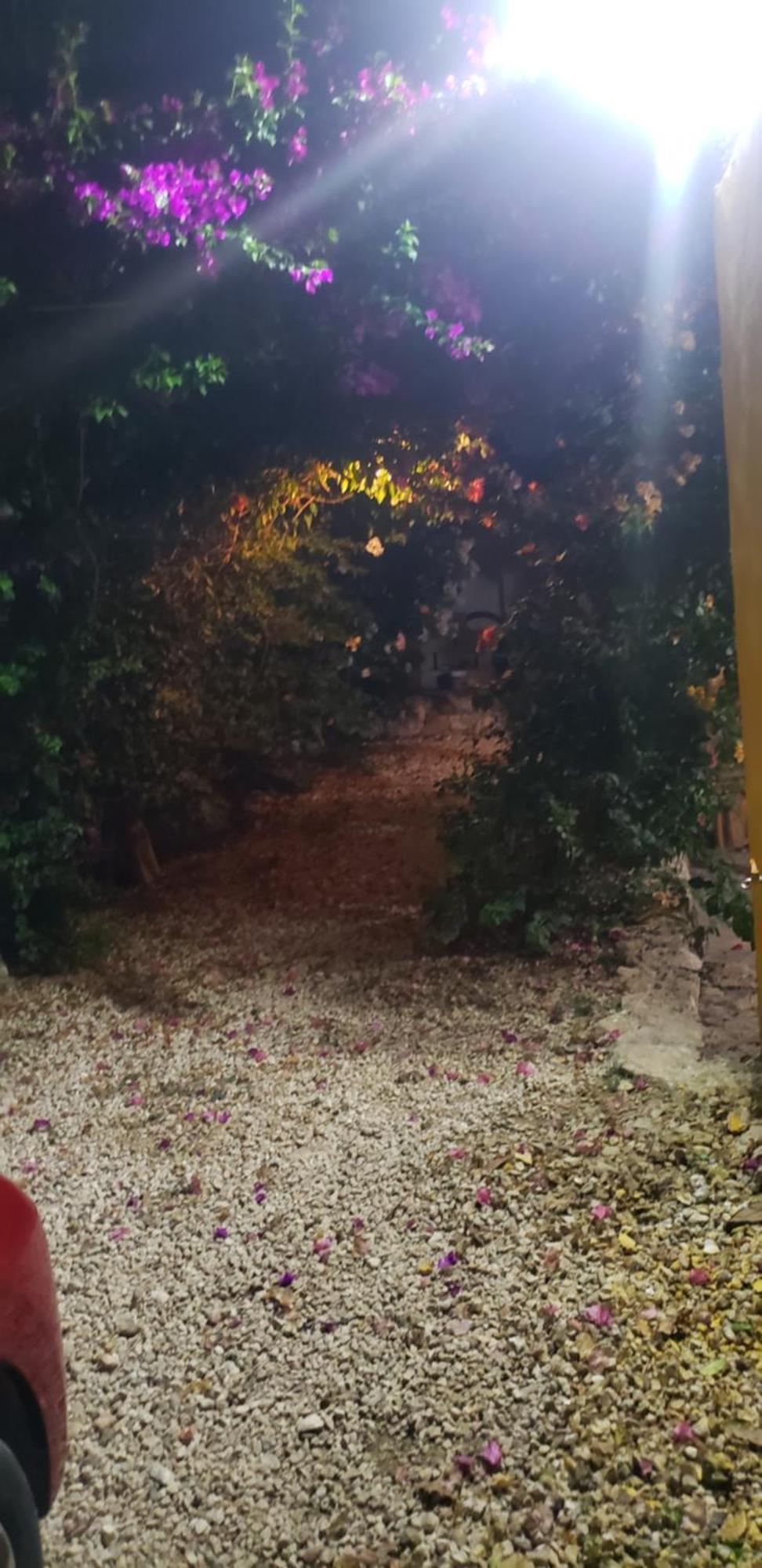 Casa "Los Jarochos" 2 วัลลาโดลิด ภายนอก รูปภาพ